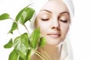 Beauty, Health & Grocery
